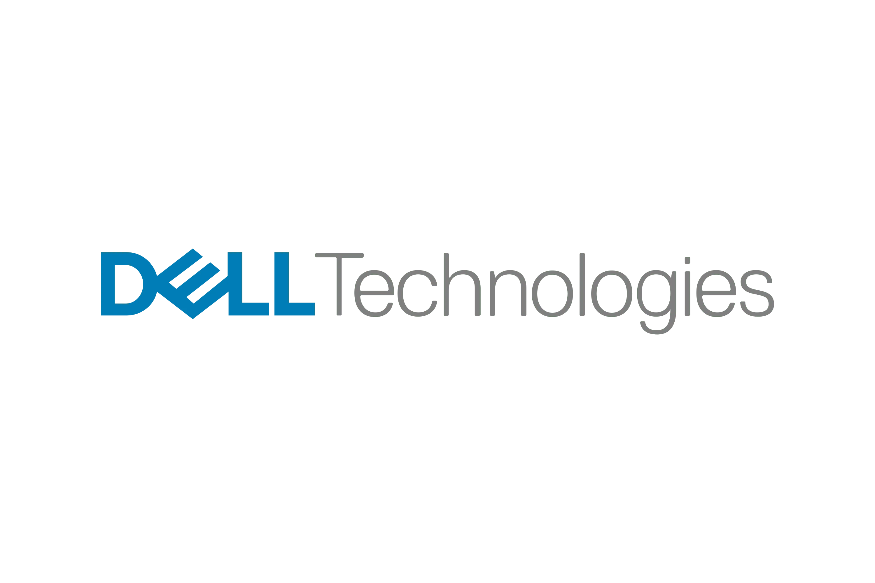 Dell partner logo